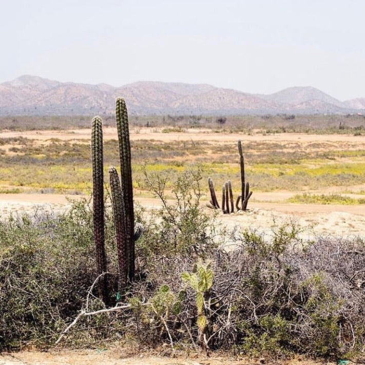 deserto guajira Colombia artigianale