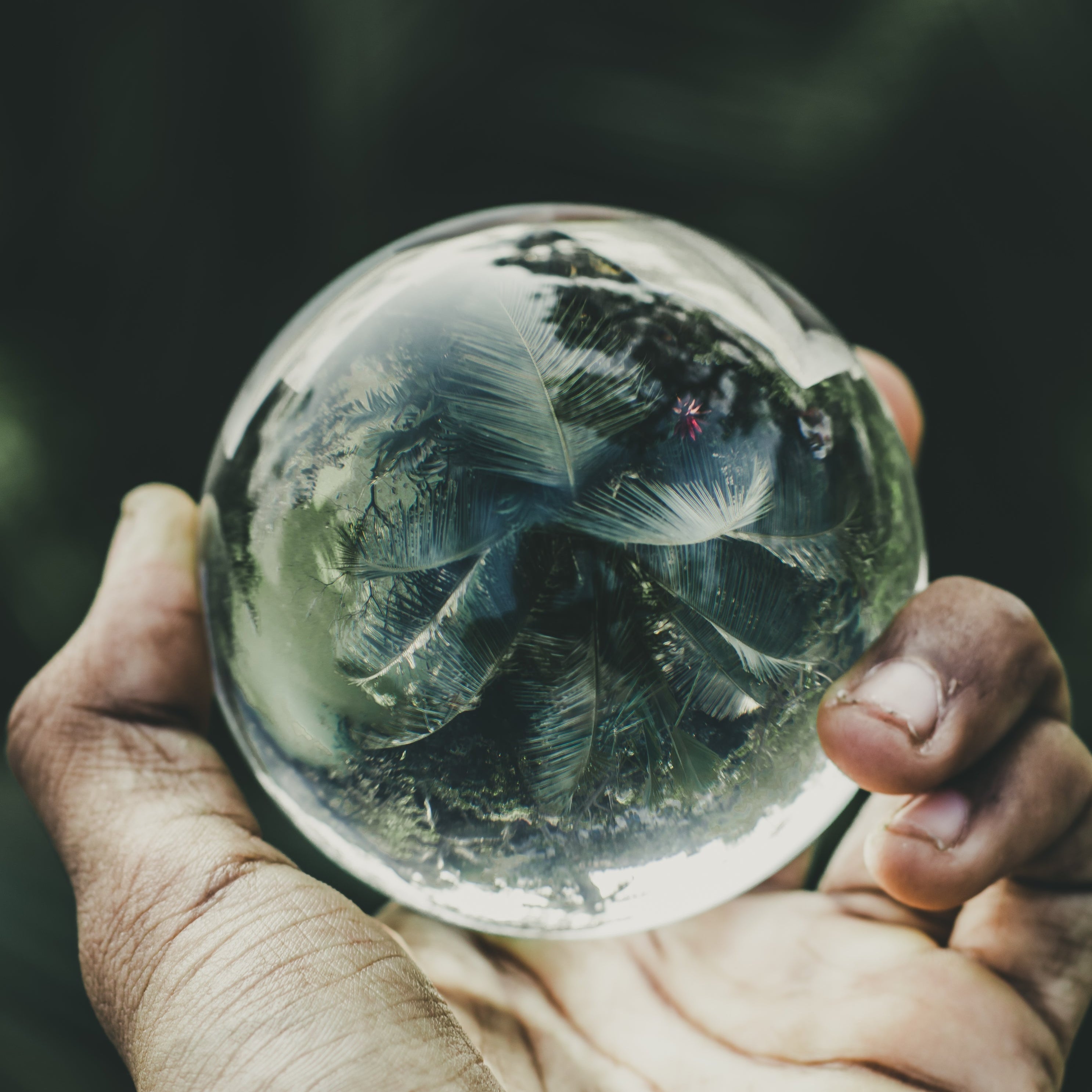 Dove nascono le tovagliette in palma iraca?