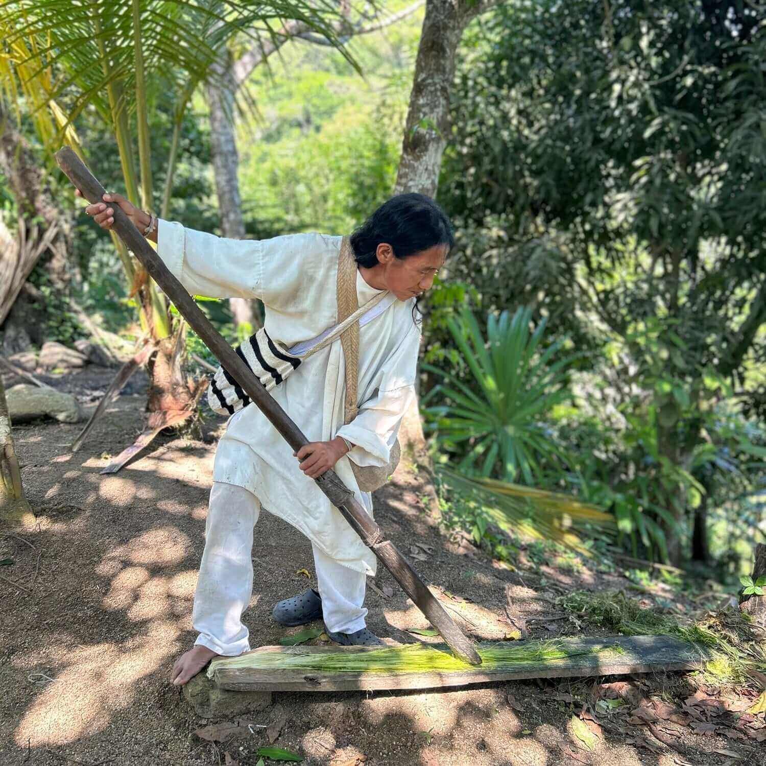 artigiano Kankuamo mentre estrae dalle foglie di fique la fibra che andrà a tingere con pigmenti naturali ed intrecciare a mano