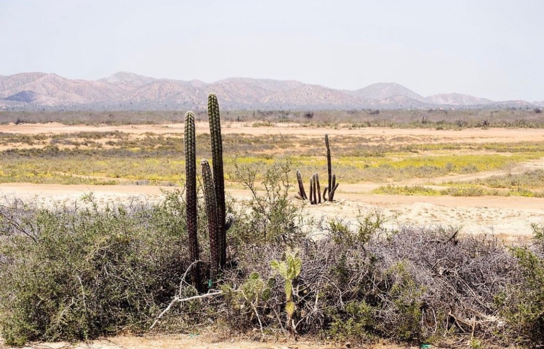 deserto guajira Colombia artigianale