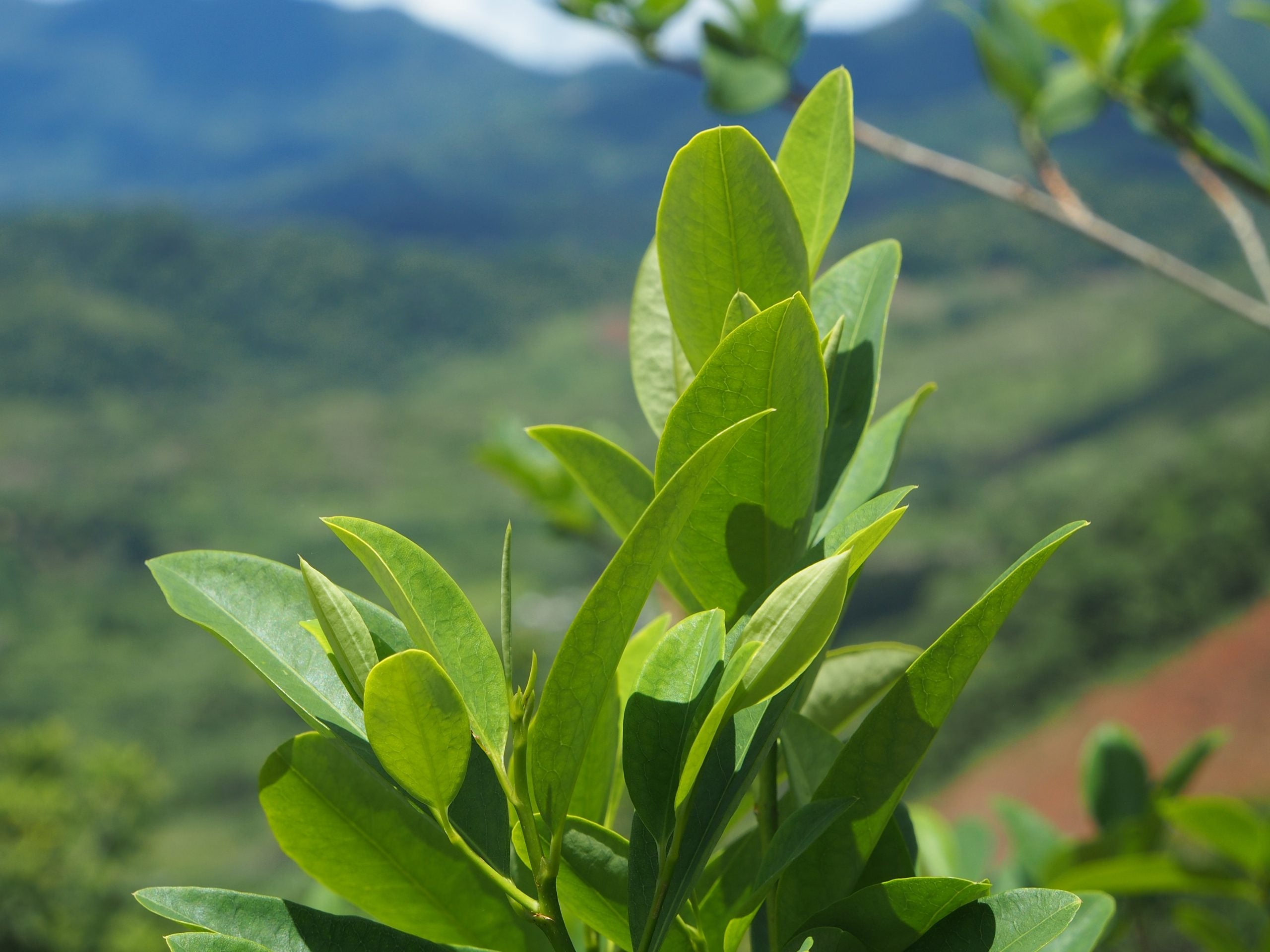 Il popolo Paez tra guerriglia, droga e speranza